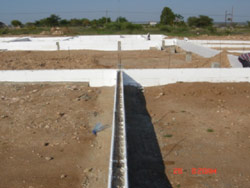 Casalinga Foster Home - Click to enlarge image